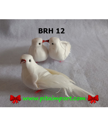 Burung Hias BRH 12